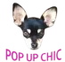 Pop Up Chic